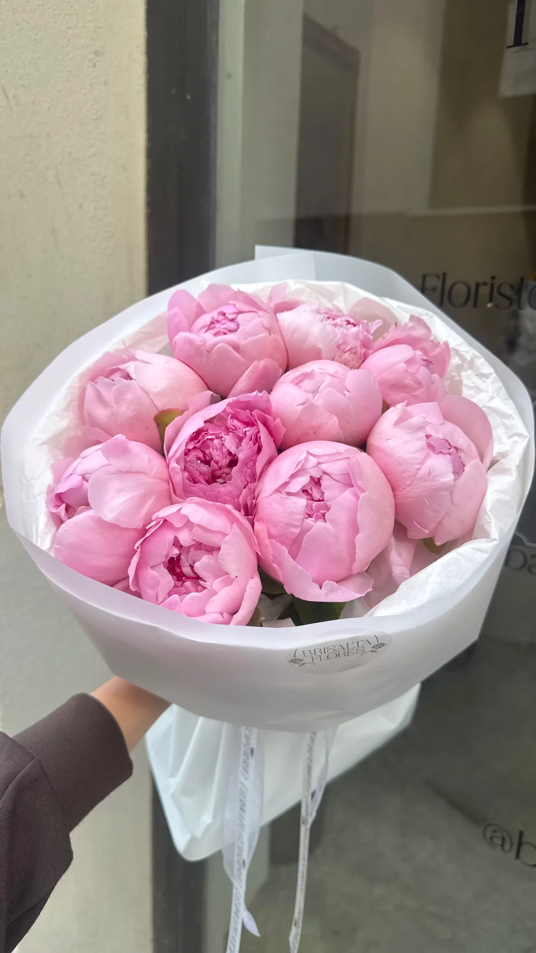 Nube Rosa