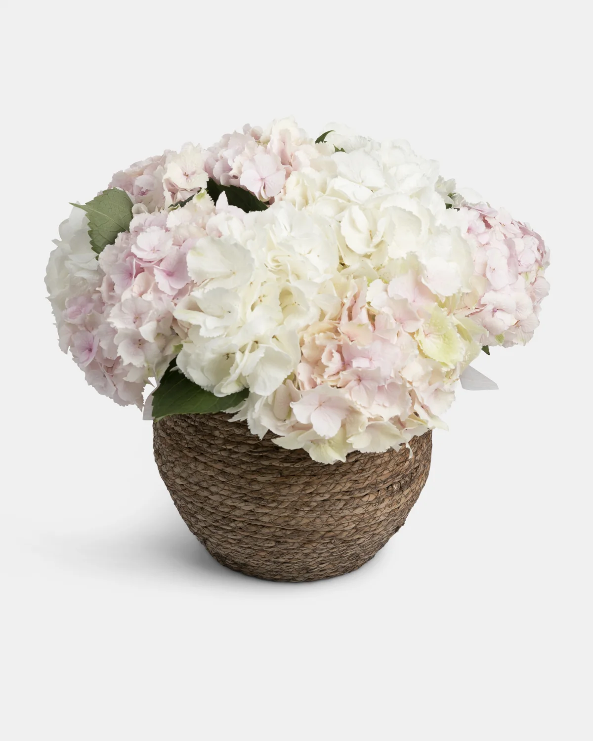 Brisalta bouquet from Instagram gallery