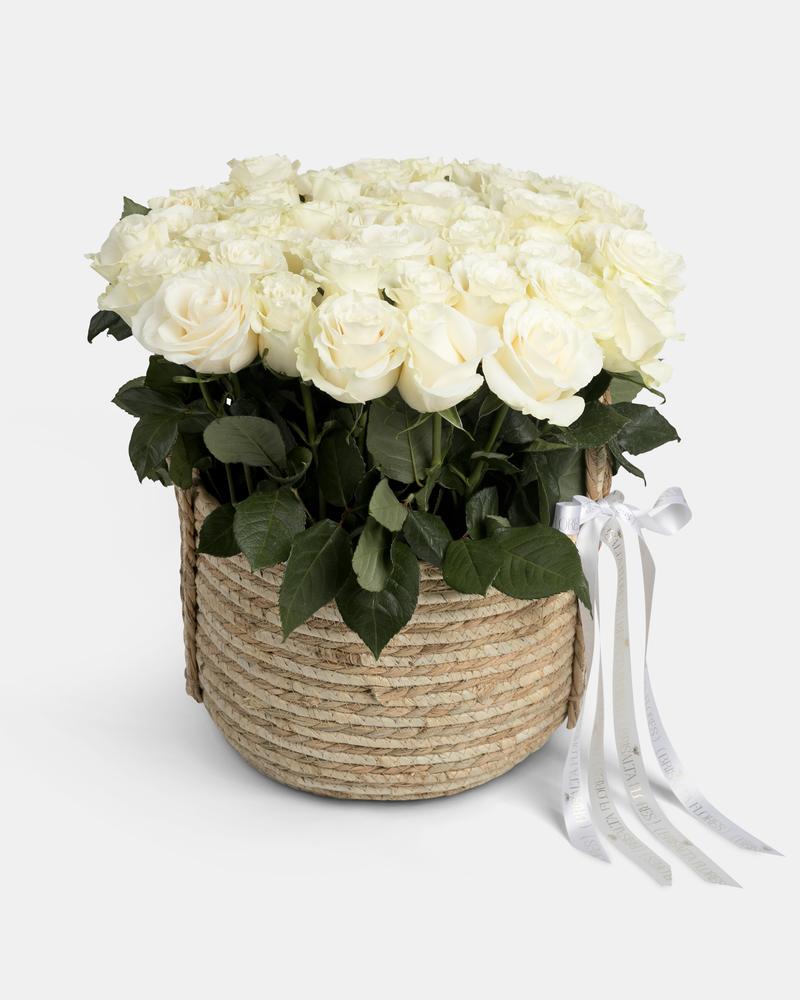 Rosas en cesta