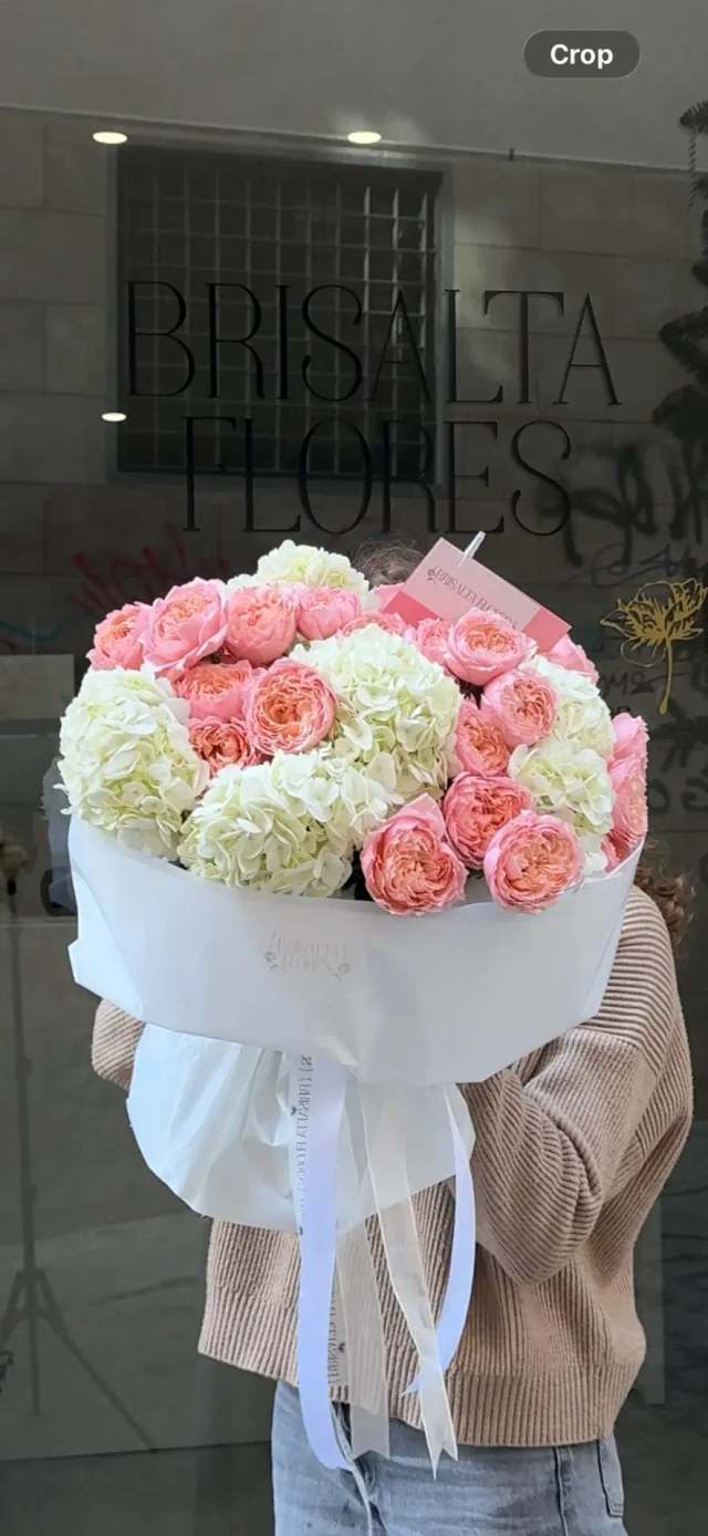 Hortensia y rosa de jardín blush