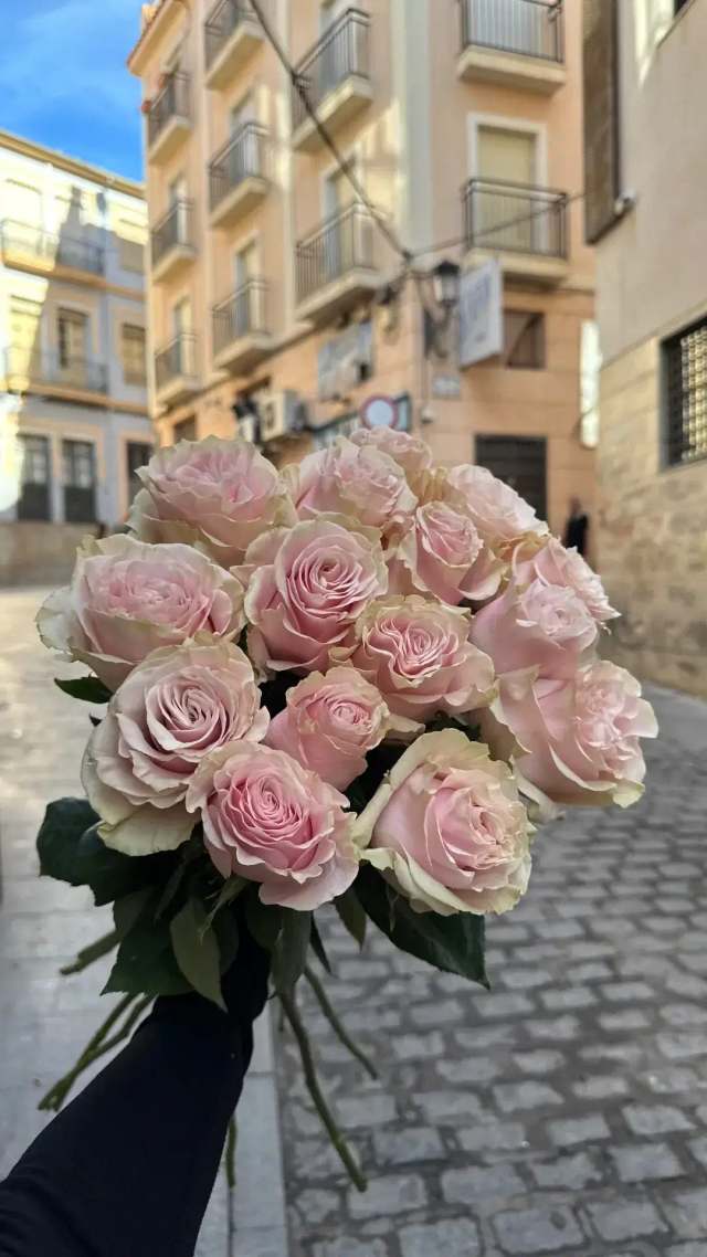 Rosas en tono polvo