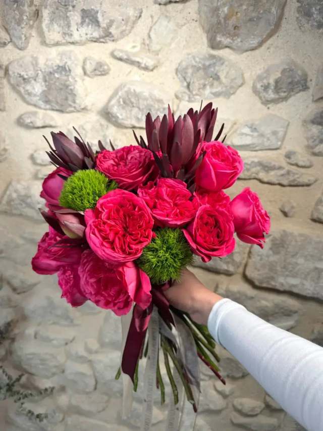 Rosas peonía fucsia