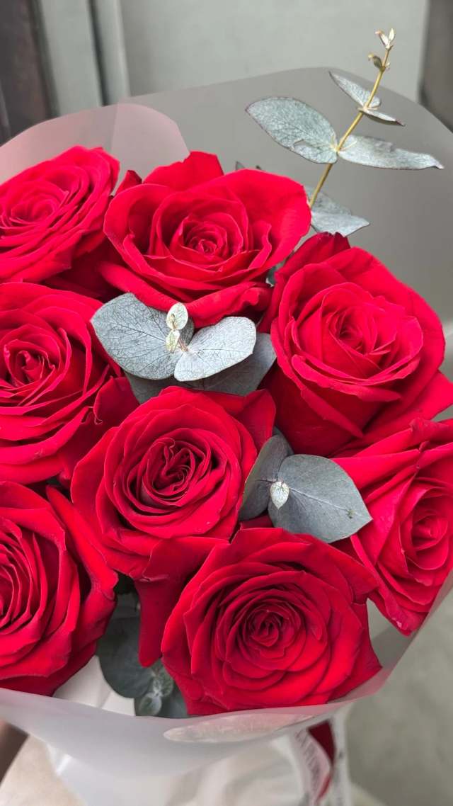 11 rosas rojas Freedom